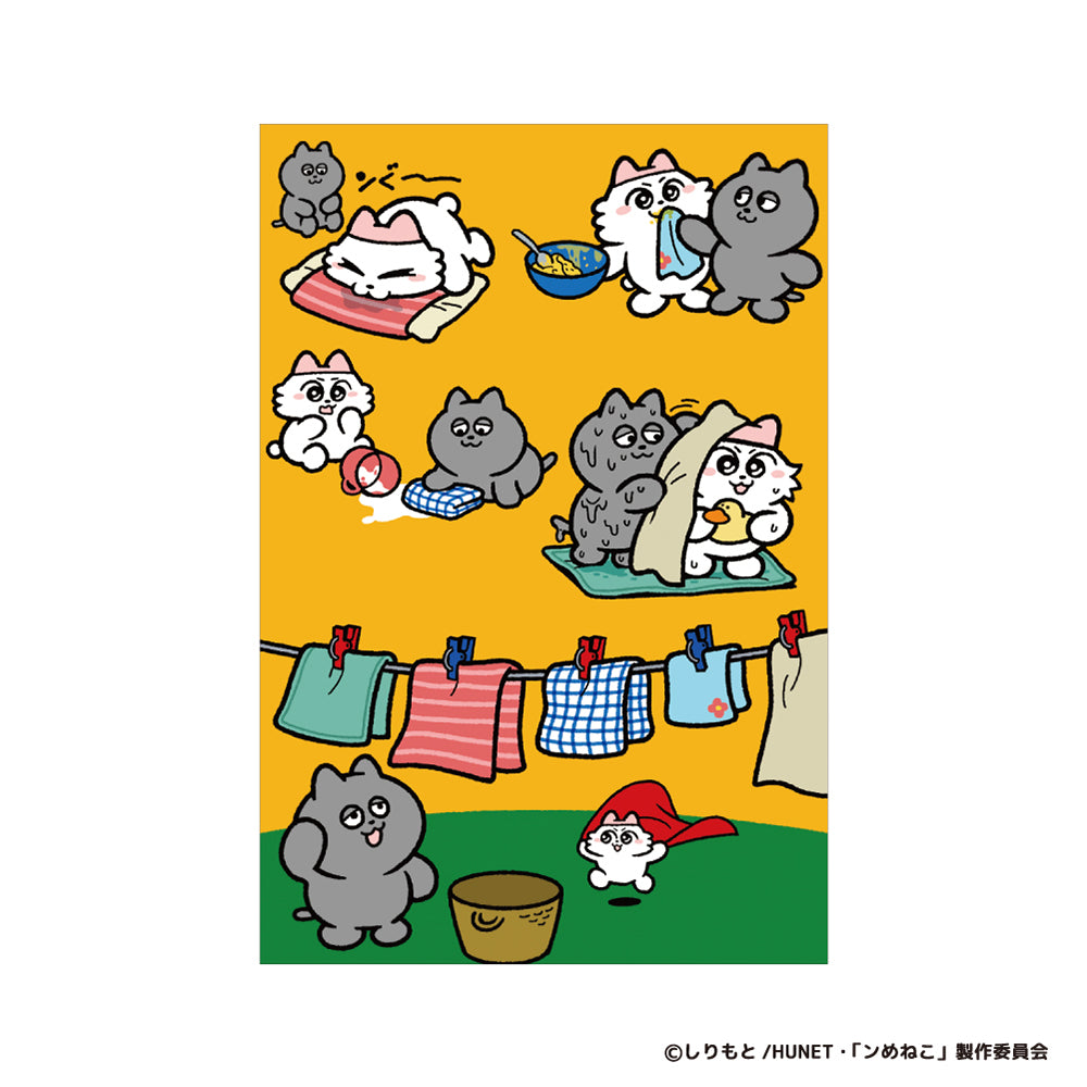 ポストカード – ンめねこ